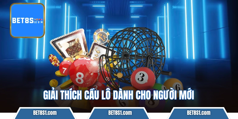 Giải thích cầu lô dành cho người mới