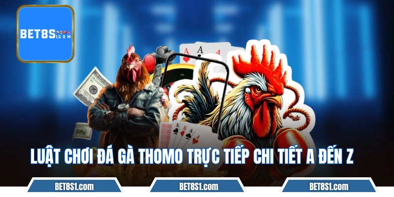 Luật chơi đá gà Thomo trực tiếp chi tiết A đến Z