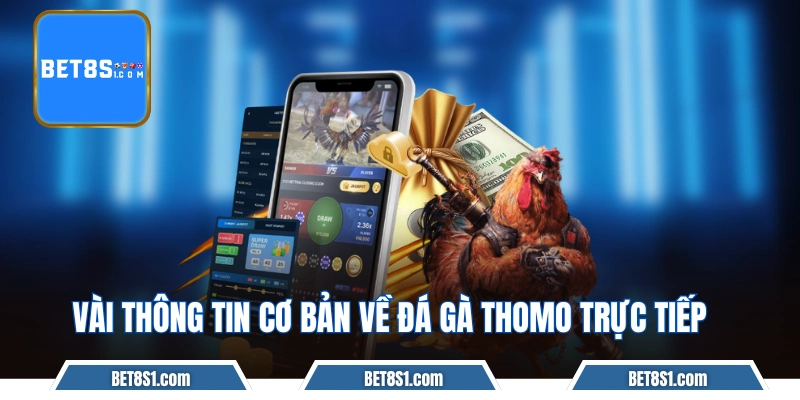 Vài thông tin cơ bản về đá gà Thomo trực tiếp 